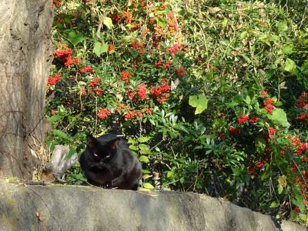 2014_1115_153023-DSC02178