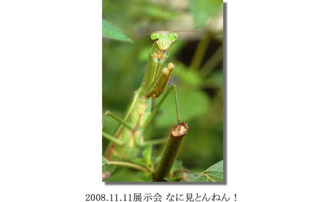 竹内2008.11.11展示会 なに見とんねん！