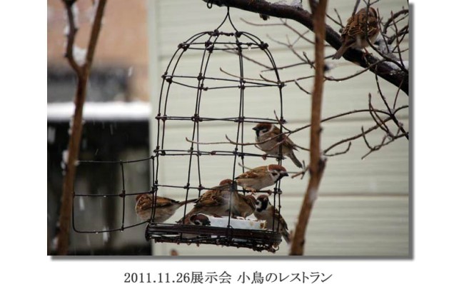 竹内2011.11.26展示会 小鳥のレストラン
