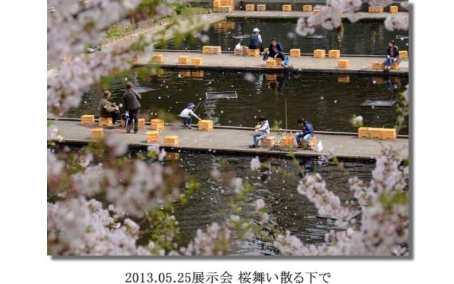竹内2013.05.25展示会 桜舞い散る下で