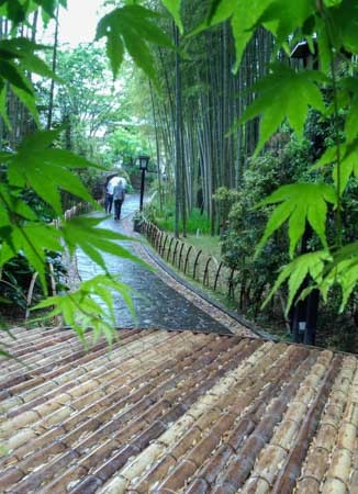 竹林の小道径web松島
