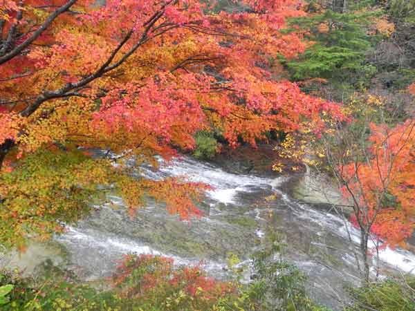 養老渓谷の秋 大久保