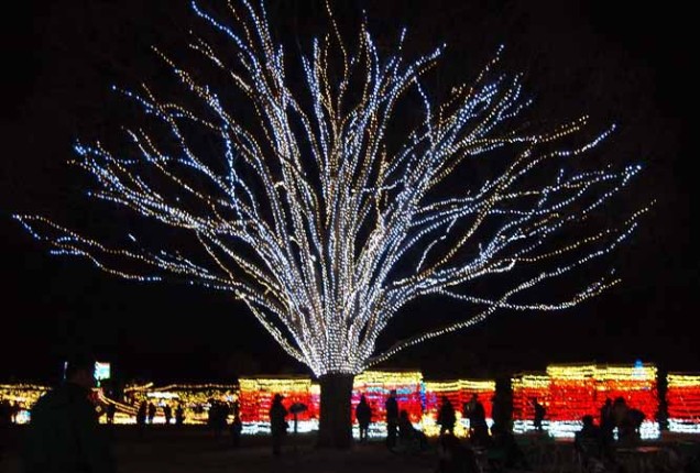 イルミネーション2