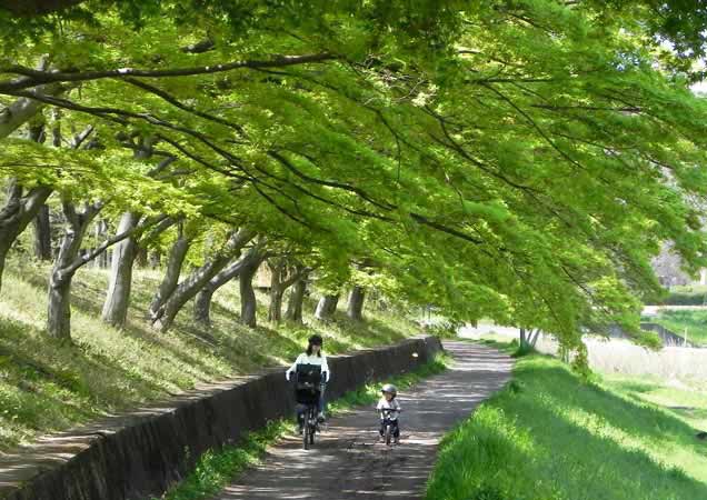 ママ、ぼくだって早いでしょ