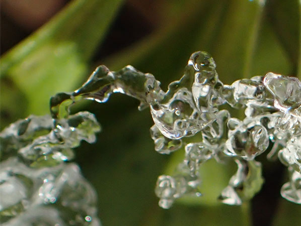 2016-11-24%e6%b0%b7%e3%81%ae%e6%80%aa%e7%8d%a3%e7%8f%be%e3%82%8b-%e6%9d%be%e5%b3%b6