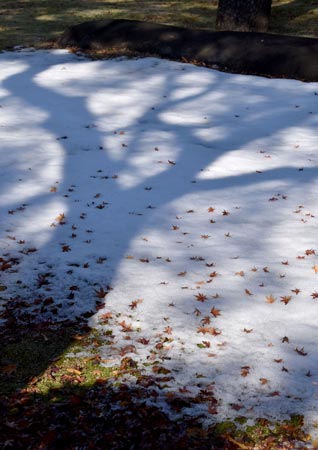 晩秋の初雪sawahata2