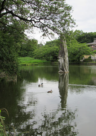 石神井池畔風景その３