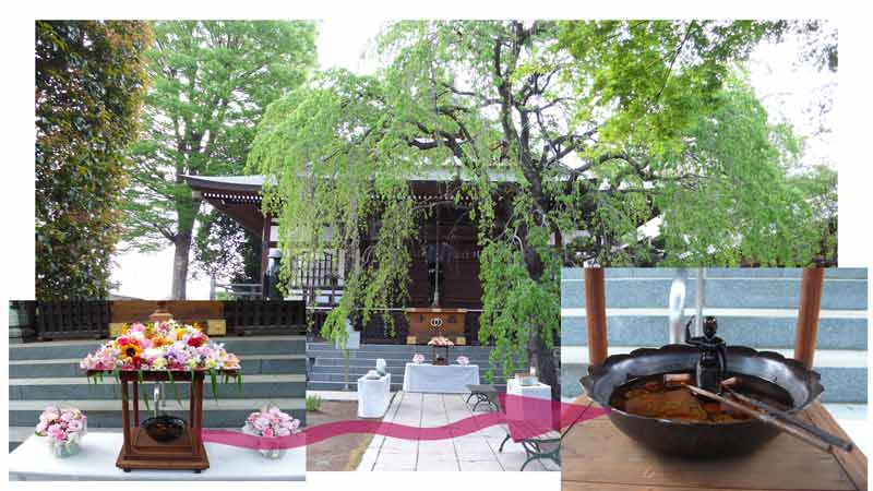 香川450px三枚合成P1230767