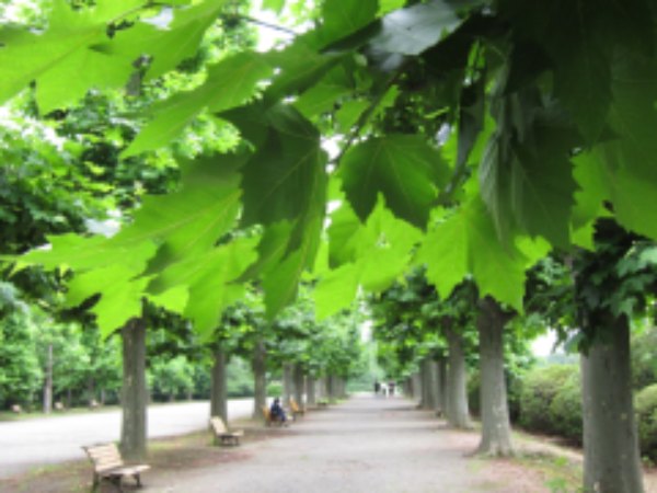 画像に alt 属性が指定されていません。ファイル名: 20200625IMG_6794.jpg