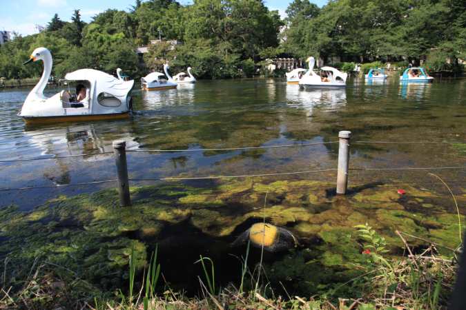 画像に alt 属性が指定されていません。ファイル名: 20200719IMG_6829.jpg