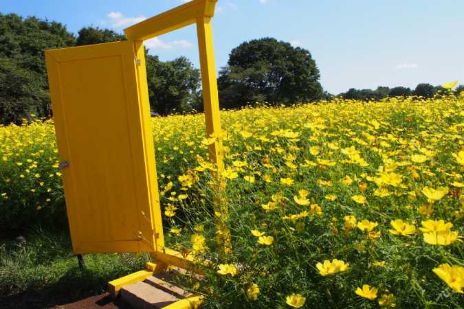 画像に alt 属性が指定されていません。ファイル名: 20200909P9090022.jpg