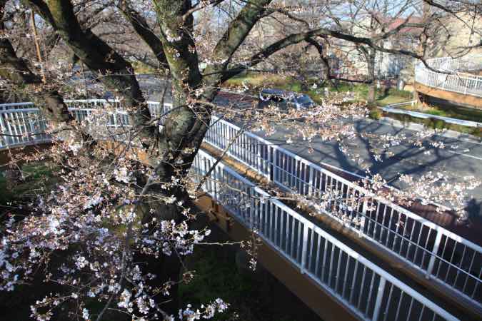 画像に alt 属性が指定されていません。ファイル名: 20210323国立大学通27.jpg