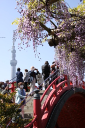 画像に alt 属性が指定されていません。ファイル名: 20210419亀戸天神80.jpg