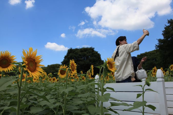 画像に alt 属性が指定されていません。ファイル名: 20210804昭和記念公園2.jpg